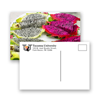 Postcard (5k records or less) Postcard (5k records or less)